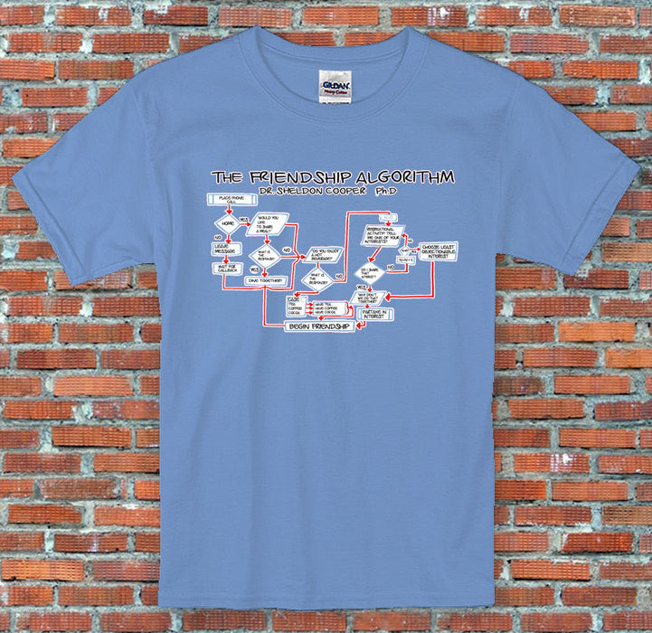 Friendship Algorithm Big Bang Theory Sheldon Cooper Inspired T Shirt S-2XL